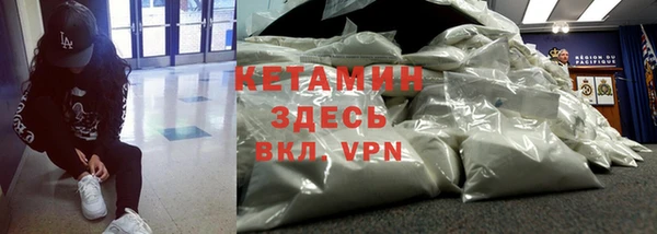 гашик Вяземский