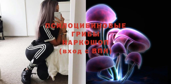 круглые Вязьма