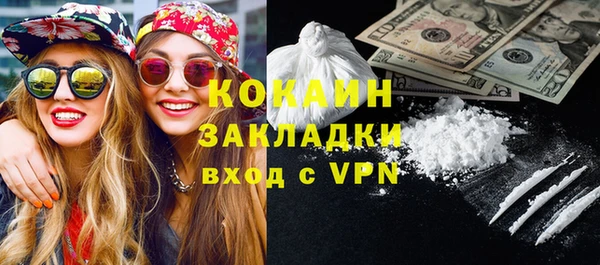 гашик Вяземский