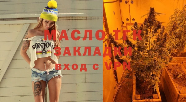 гашик Вяземский