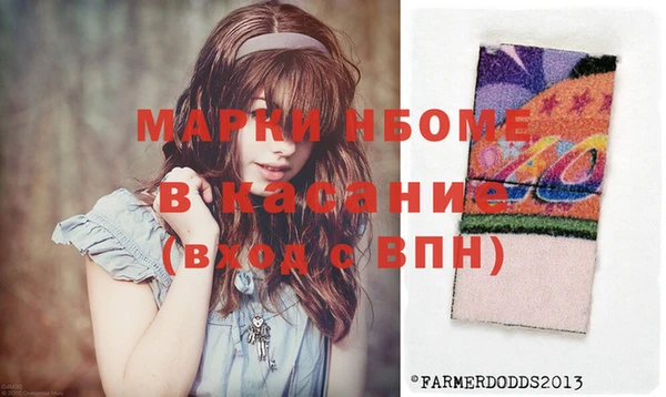 гашик Вяземский
