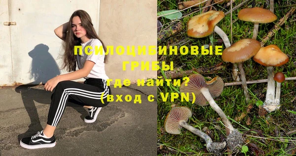 круглые Вязьма