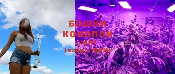 гашик Вяземский