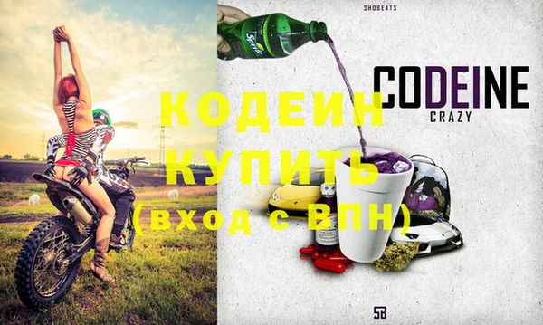 гашик Вяземский