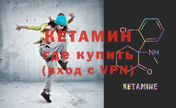 гашик Вяземский