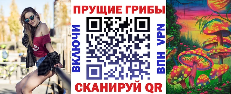 Псилоцибиновые грибы мухоморы  Купить закладки  Петровск 